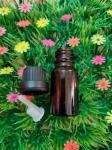 Chai lọ thủy tinh đựng tinh dầu 10ml
